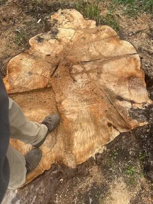 Supreme Stump Grinding Logo