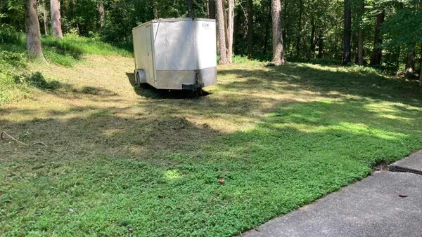 Supreme Surface Cleaning