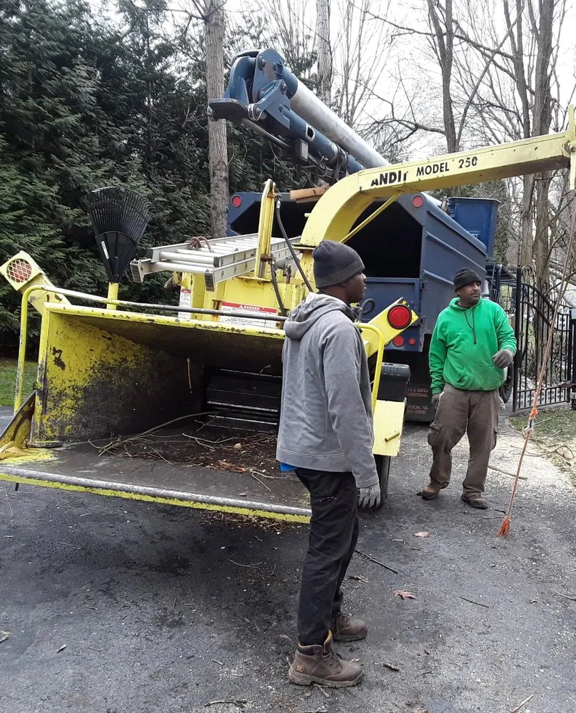 Affordable landscape design for year-round maintenance in Randallstown, MD by Supreme Tree Expert