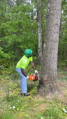 Supreme Tree Expert Logo