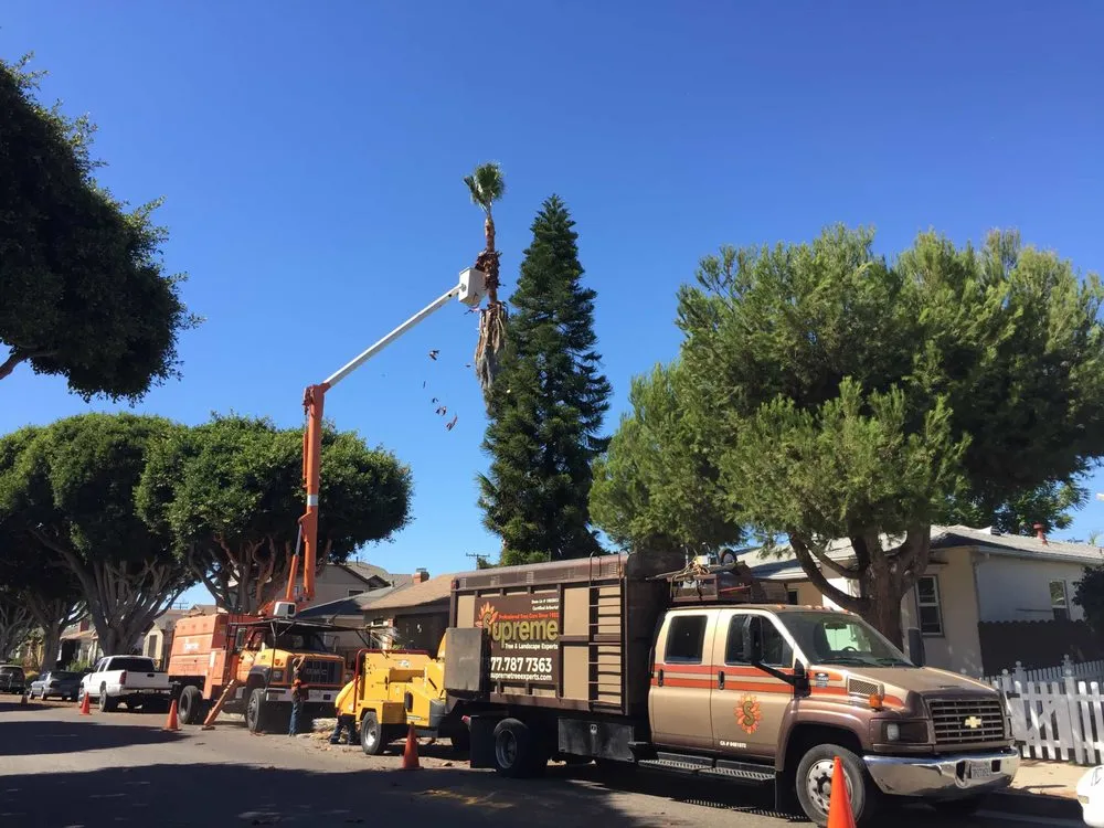 Custom lawn care service for homes across Santa Ana, CA - Supreme Tree Experts