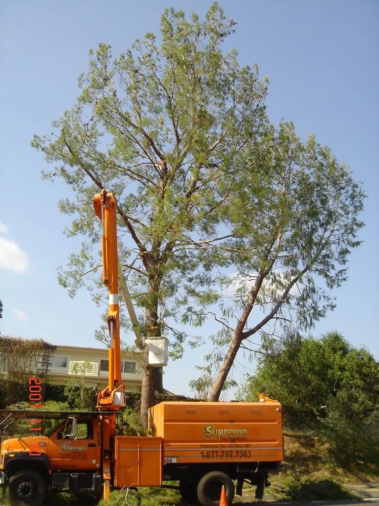 Top-rated garden landscaping for homes in Santa Ana, CA by Supreme Tree Experts