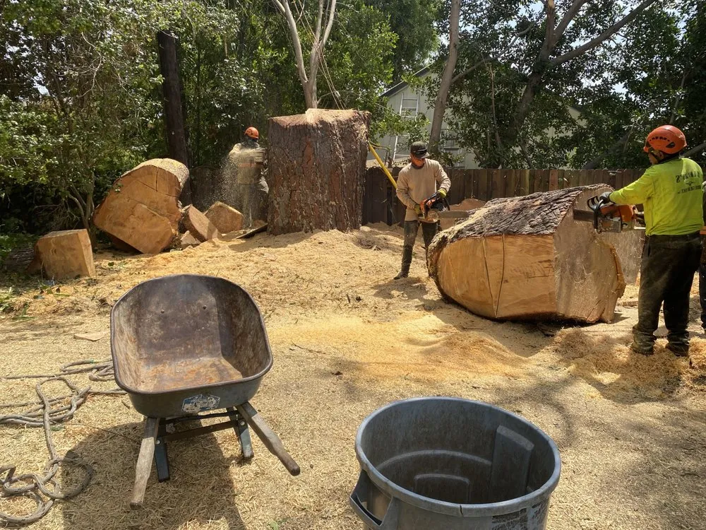 Top-rated landscape design experts serving Santa Ana, CA - Supreme Tree Experts