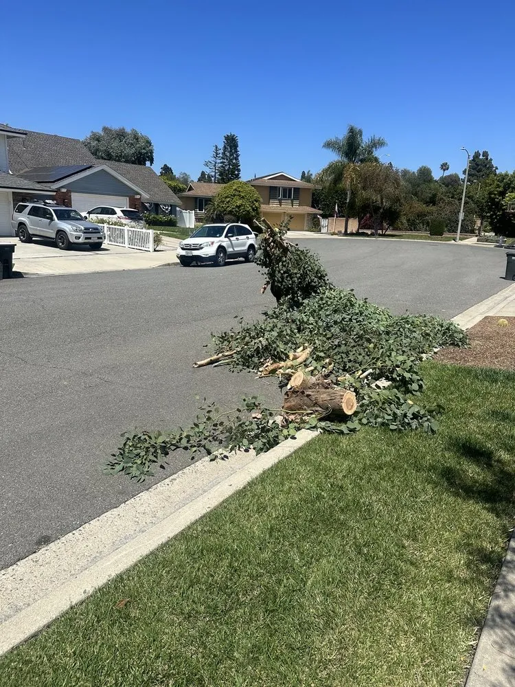 Local residential landscaping for outdoor upgrades across Santa Ana, CA - Supreme Tree Experts