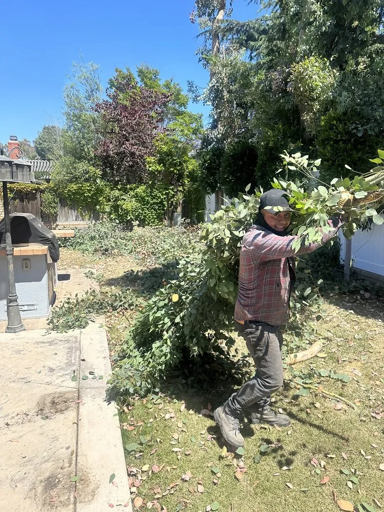 Custom lawn care service for beautiful yards across Santa Ana, CA - Supreme Tree Experts