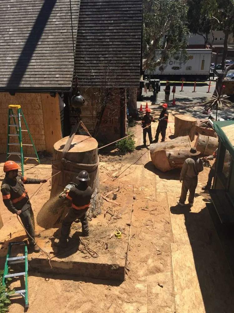 Custom garden landscaping experts serving Santa Ana, CA - Supreme Tree Experts