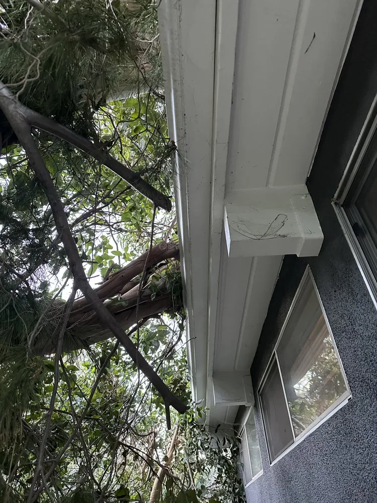 Expert landscaping services in Santa Ana, CA by Supreme Tree Experts