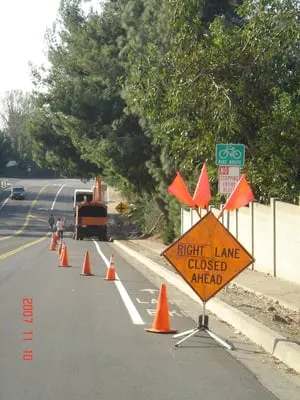 Supreme Tree Experts Logo