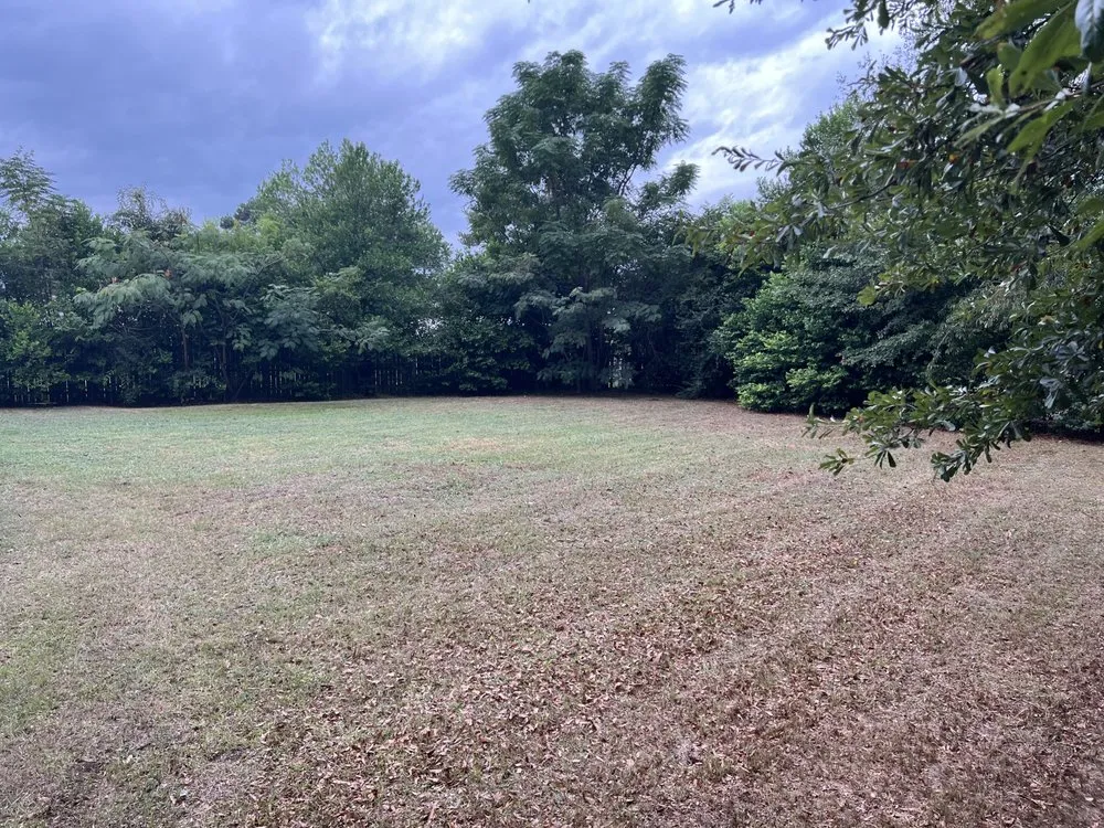 Local outdoor landscaping for residential properties in Warner Robins, GA by Supreme Yard Masters