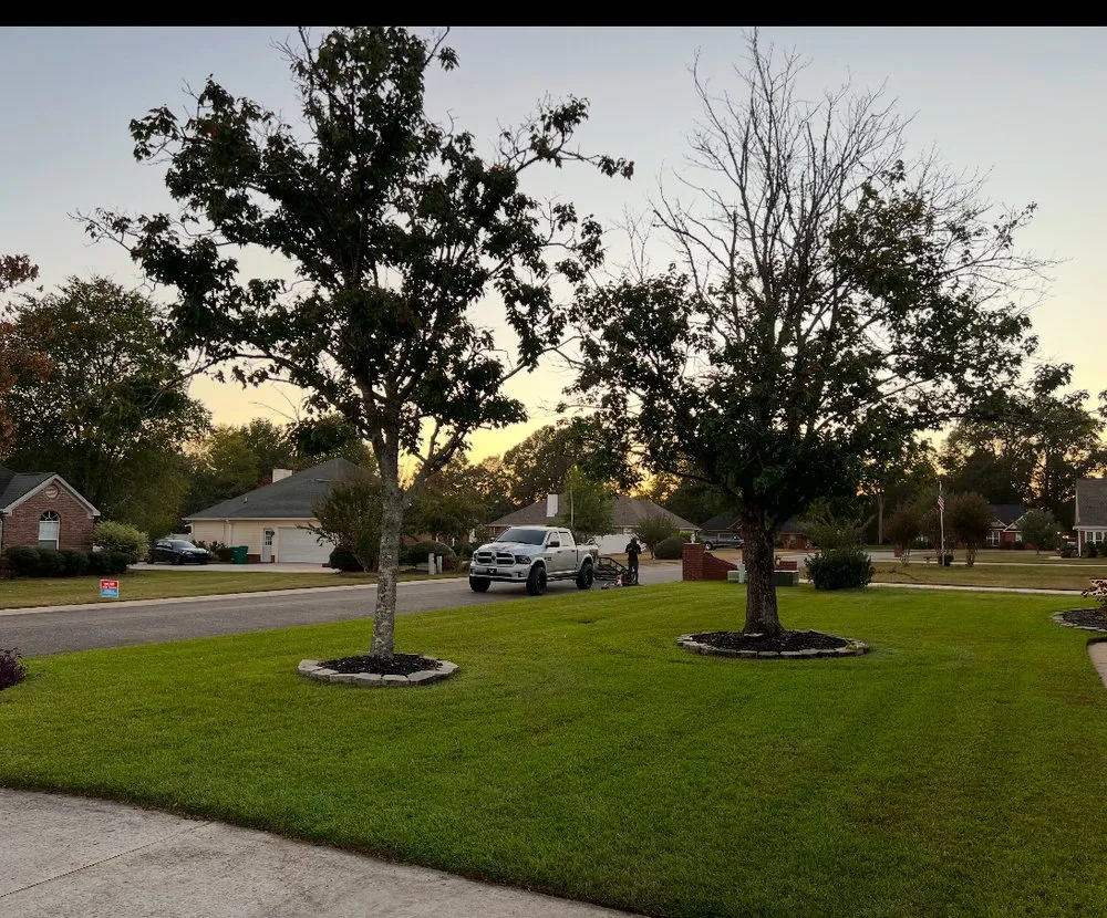 Top-rated yard cleanup service for year-round maintenance across Warner Robins, GA - Supreme Yard Masters