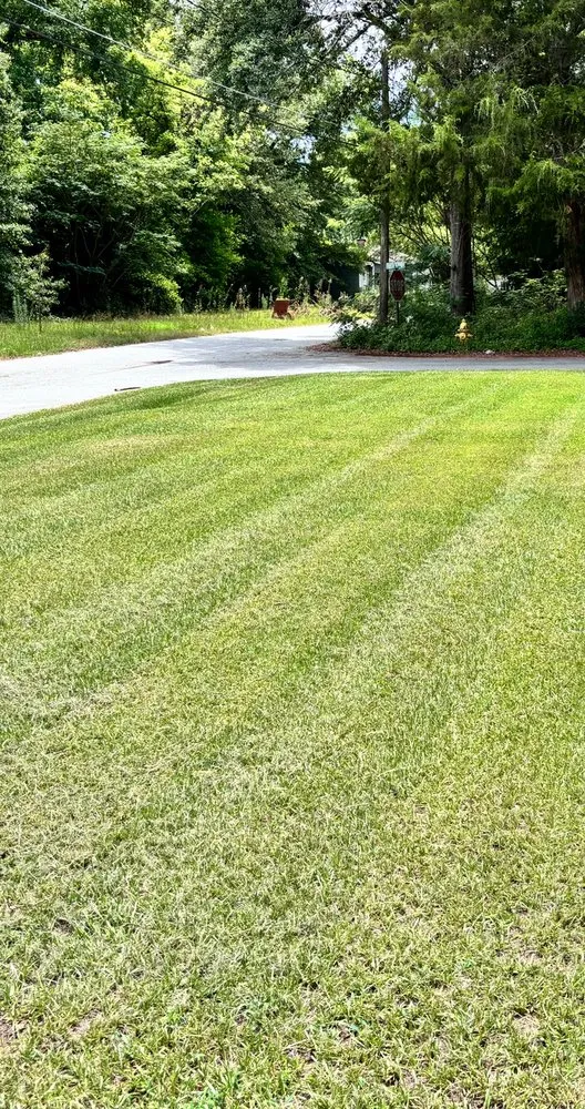 Expert lawn care service in Warner Robins, GA - Supreme Yard Masters
