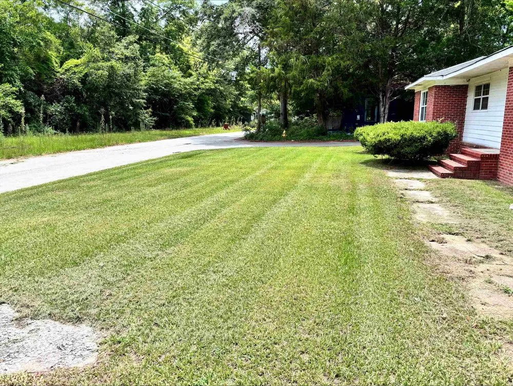 Professional landscaping services with custom design in Warner Robins, GA by Supreme Yard Masters