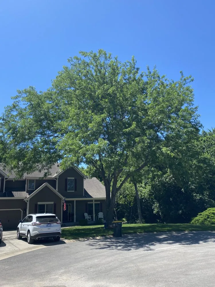 Expert landscape installation experts serving Lenexa, KS - SupremeGreen KC