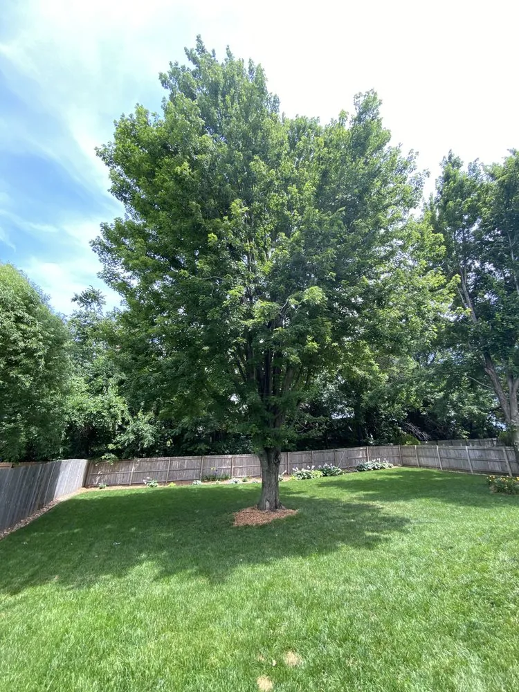 Local residential landscaping near you in Lenexa, KS by SupremeGreen KC