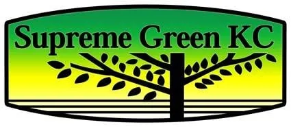 Professional yard cleanup service in Lenexa, KS - SupremeGreen KC