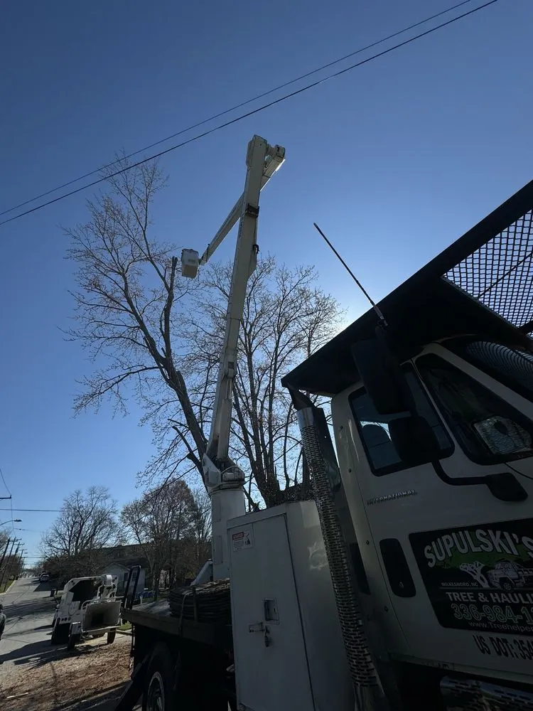 Expert lawn care service for outdoor upgrades across Wilkesboro, NC - Supulski's Tree Service