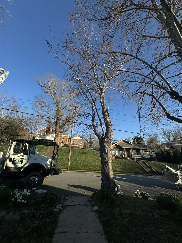 Top-rated landscape installation in Wilkesboro, NC by Supulski's Tree Service