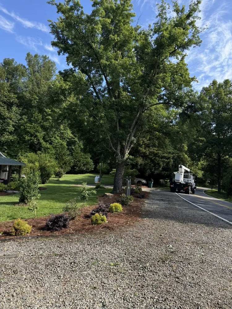 Trusted outdoor landscaping experts serving Wilkesboro, NC - Supulski's Tree Service