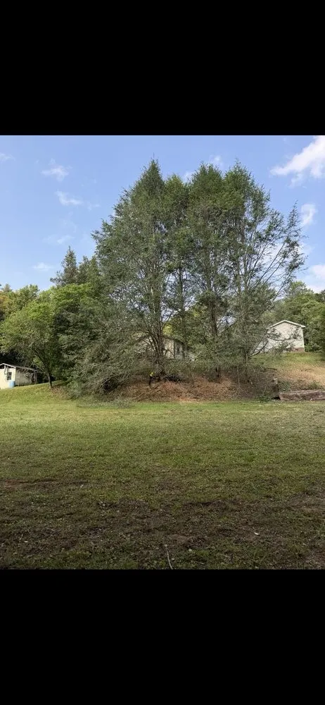 Professional landscape design in Wilkesboro, NC - Supulski's Tree Service