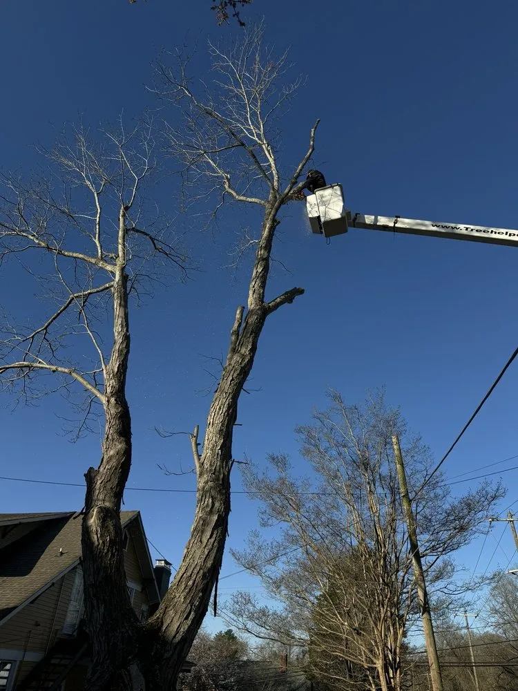 Custom garden landscaping for residential properties across Wilkesboro, NC - Supulski's Tree Service