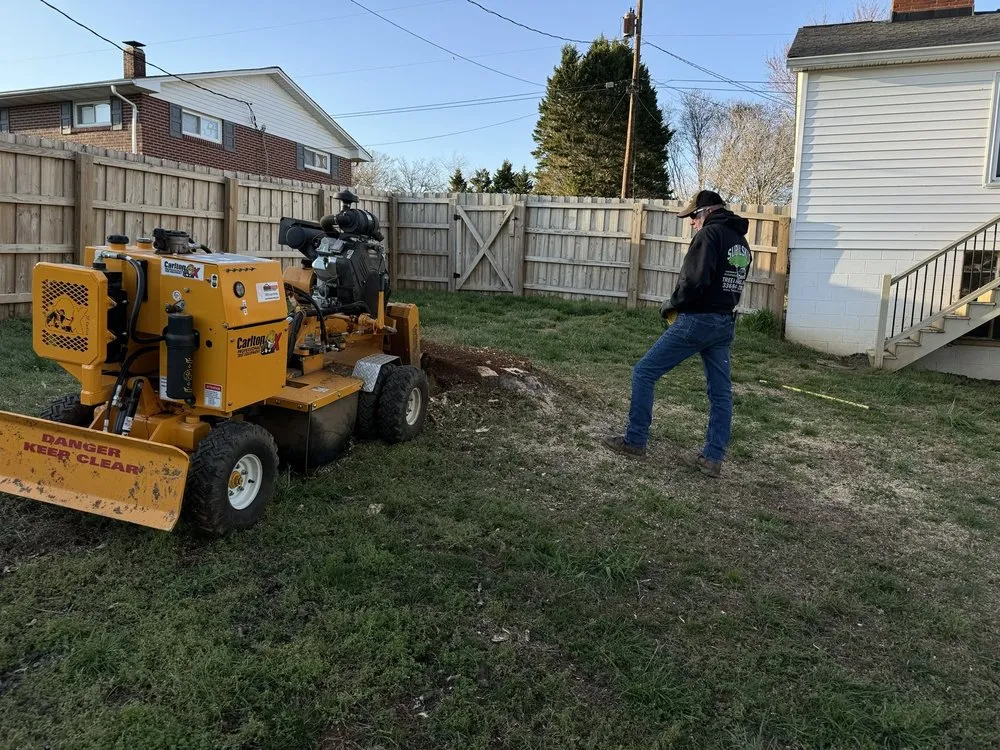 Trusted lawn care service for outdoor upgrades across Wilkesboro, NC - Supulski's Tree Service