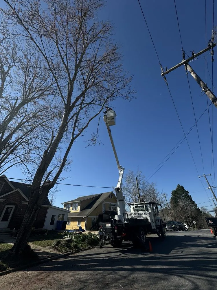Affordable outdoor landscaping in Wilkesboro, NC by Supulski's Tree Service
