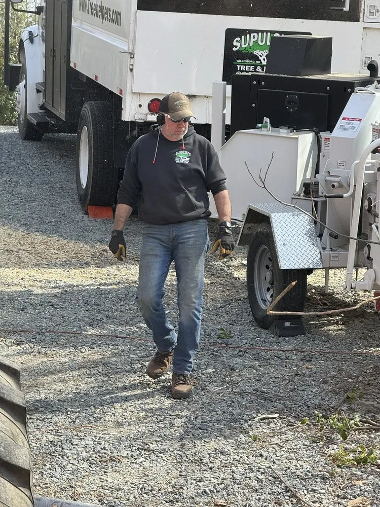 Expert landscape design for outdoor upgrades across Wilkesboro, NC - Supulski's Tree Service