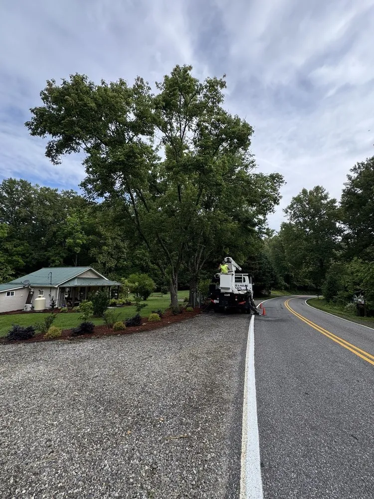 Custom garden landscaping for residential properties in Wilkesboro, NC by Supulski's Tree Service