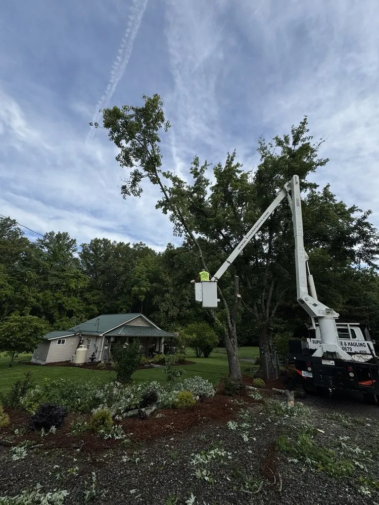 Top-rated landscaping services in Wilkesboro, NC by Supulski's Tree Service