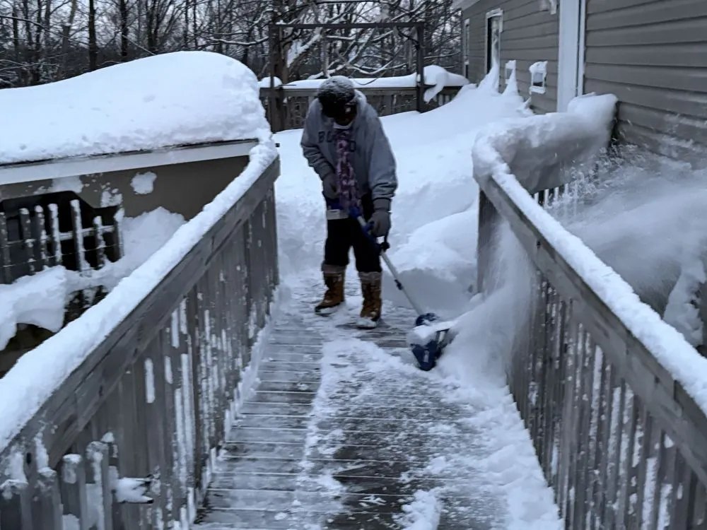 Reliable yard cleanup service in Rochester, NY by Sure Asset