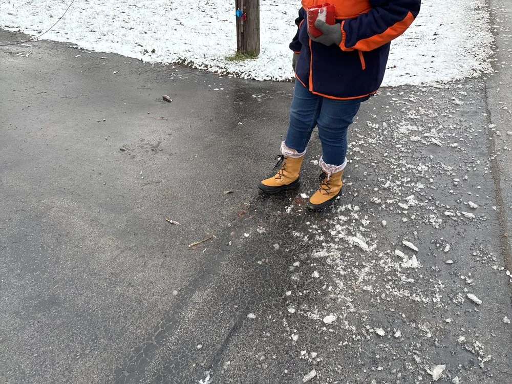 Top-rated landscape installation experts serving Rochester, NY - Sure Asset