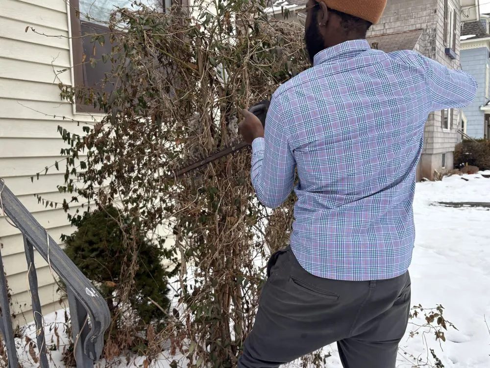 Top-rated landscape installation experts serving Rochester, NY - Sure Asset