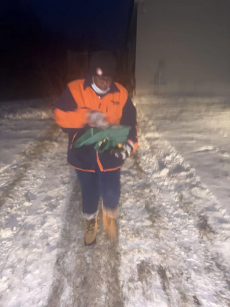 Affordable lawn mowing service in Rochester, NY - Sure Asset