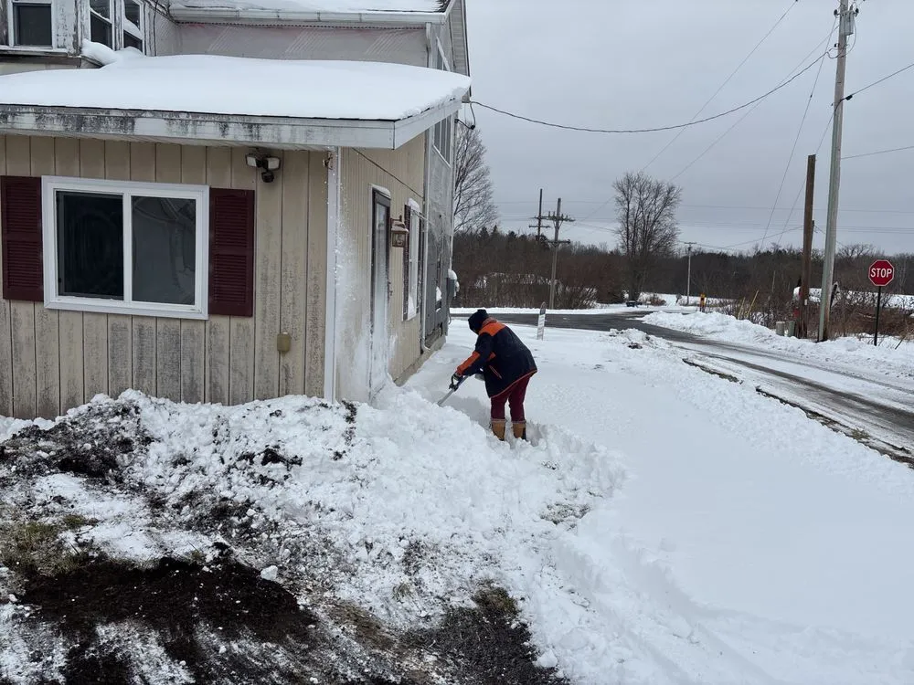 Trusted yard maintenance for residential properties in Rochester, NY by Sure Asset