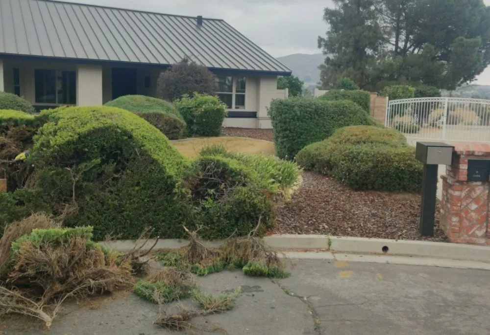 Reliable landscape installation experts serving Riverside, CA - Sure Cut Landscape Services