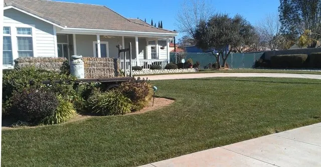 Professional residential landscaping experts serving Riverside, CA - Sure Cut Landscape Services