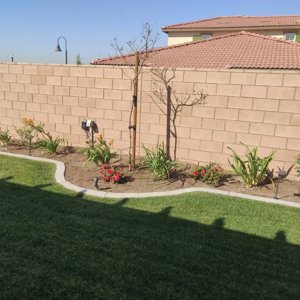 Top-rated yard cleanup service experts serving Riverside, CA - Sure Cut Landscape Services