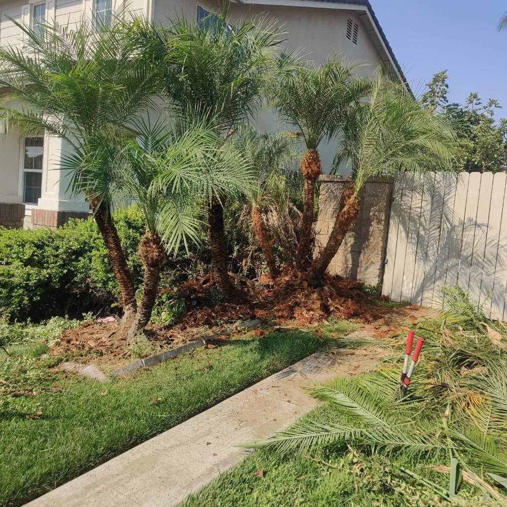 Top-rated lawn mowing service experts serving Riverside, CA - Sure Cut Landscape Services