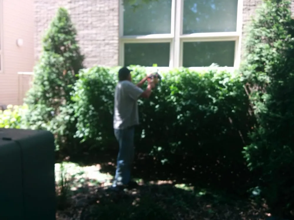 Top-rated landscape design in Cleveland, OH - Sure Cut Landscaping