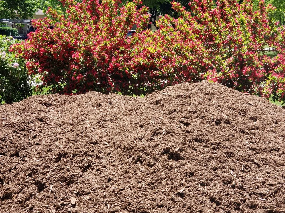 Reliable landscaping services in Elgin, IL - Sure Green Landscape & Firewood Unlimited