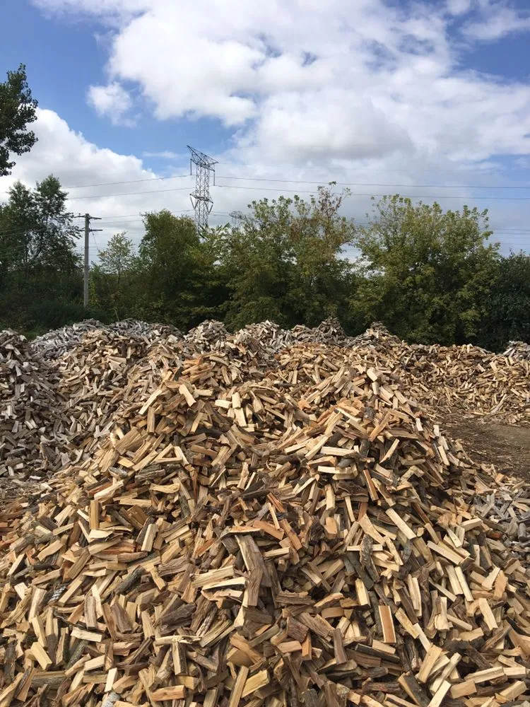 Top-rated lawn care service for year-round maintenance across Elgin, IL - Sure Green Landscape & Firewood Unlimited