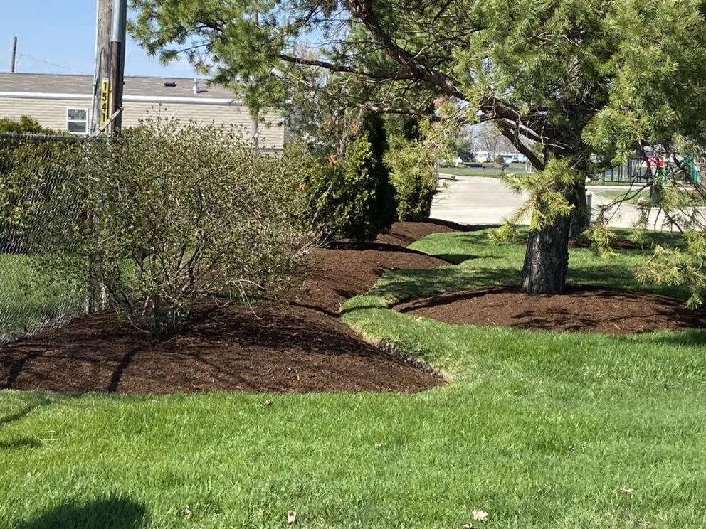 Affordable yard maintenance near you across Elgin, IL - Sure Green Landscape & Firewood Unlimited