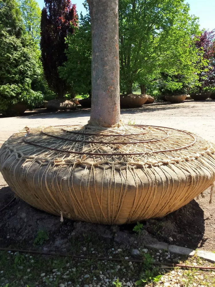 Top-rated yard maintenance in Little Silver, NJ by Sure Landscape & Design