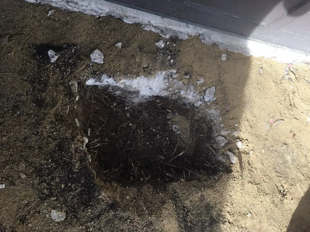 Local yard cleanup service in Madison, WI by Sure Shot