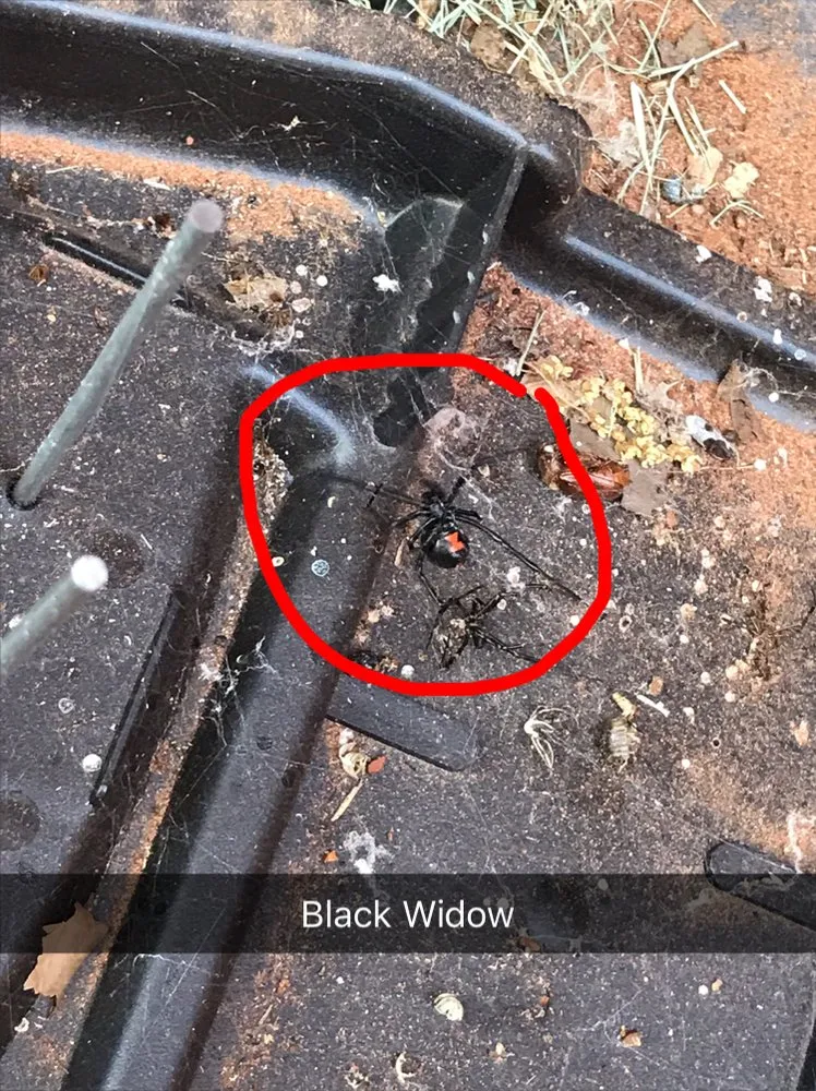 Professional garden landscaping in Edmond, OK by Sure Shot Pest & Weed Control