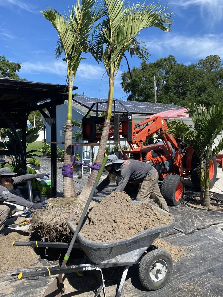 Professional garden landscaping in New Port Richey, FL by Sure Shot Property Enhancement Services