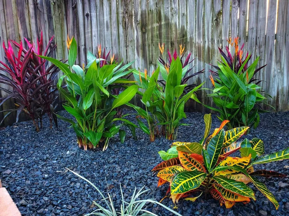 Top-rated landscaping services in New Port Richey, FL - Sure Shot Property Enhancement Services