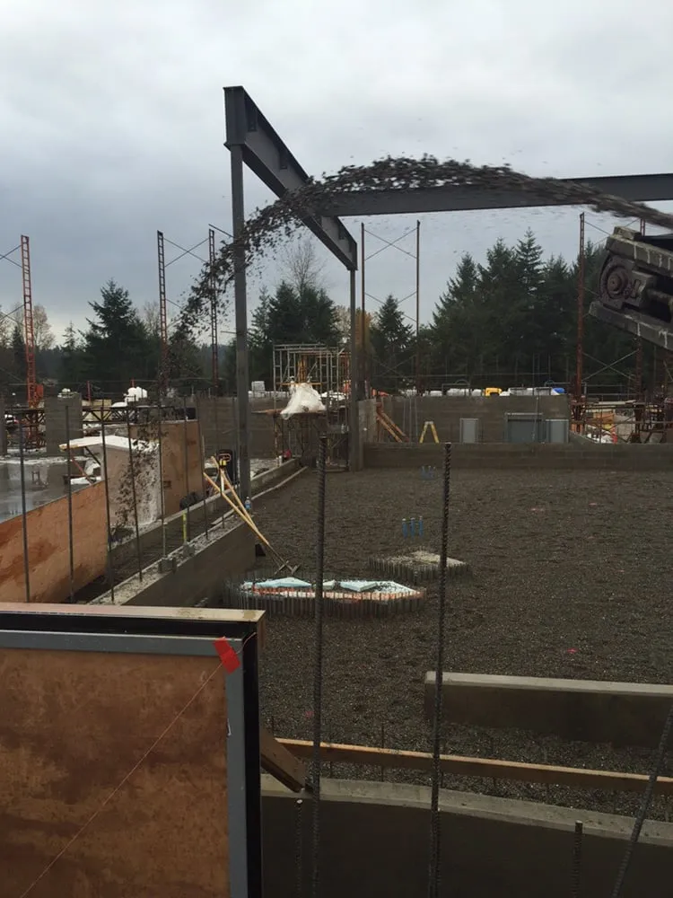 Custom yard cleanup service near you in Grapeview, WA by Sure Shot Trucking