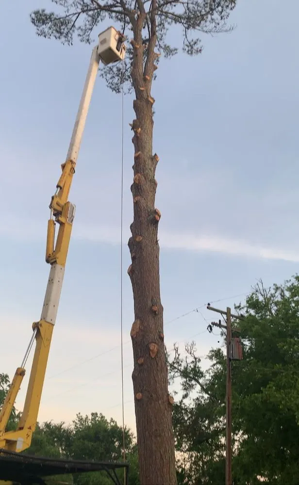 Local landscape design in Mount Pleasant, TX by Sure Tree Landscaping