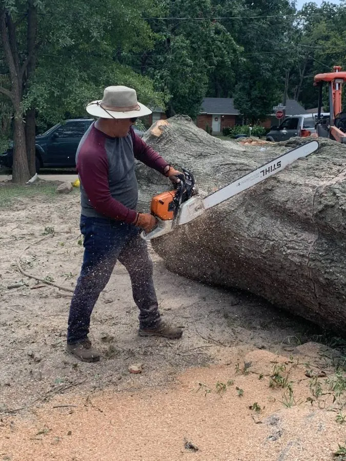 Top-rated outdoor landscaping near you in Mount Pleasant, TX by Sure Tree Landscaping